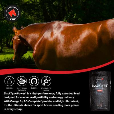 Show full view: Keyflow Feeds Black Type Power Low Sugar Horse Feed, 39-lb bag slide 3 of 6