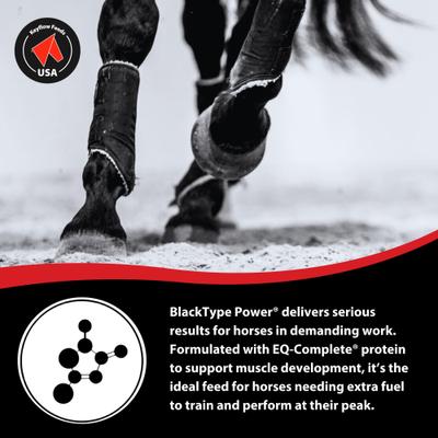 Show full view: Keyflow Feeds Black Type Power Low Sugar Horse Feed, 39-lb bag slide 5 of 6