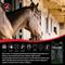 Show in main carousel: Keyflow Feeds One Scoop Pre-Digested Hybrid Muesli Horse Feed, 33-lb bag slide 3 of 5