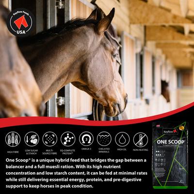 Show full view: Keyflow Feeds One Scoop Pre-Digested Hybrid Muesli Horse Feed, 33-lb bag slide 3 of 5
