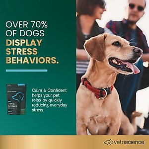 VetriScience Composure Bacon Flavored Chews Calming Supplement for Dogs, 120 count