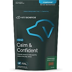 10 Medications for Dog Anxiety: Managing Your Dog's Anxiety with