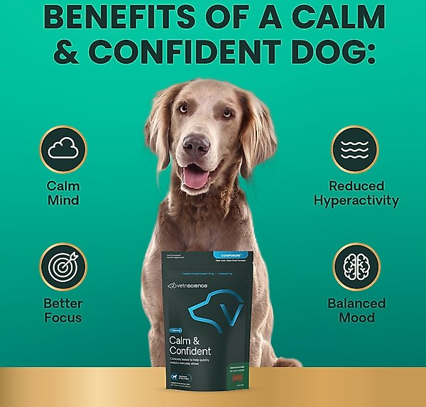 Show full view: VetriScience Composure Bacon Flavored Chews Calming Supplement for Dogs, 120 count slide 5 of 10