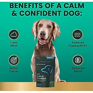 VetriScience Composure Bacon Flavored Chews Calming Supplement for Dogs, 120 count