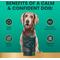 Show in main carousel: VetriScience Composure Bacon Flavored Chews Calming Supplement for Dogs, 120 count slide 6 of 11