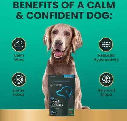 Show full view: VetriScience Composure Bacon Flavored Chews Calming Supplement for Dogs, 120 count slide 6 of 11