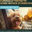 Show in main carousel: VetriScience Composure Bacon Flavored Chews Calming Supplement for Dogs, 120 count slide 4 of 10