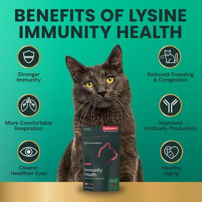 Show full view: VetriScience Lysine Plus Lysine Immunity Health Chicken Flavored Chews Immune Supplement for Cats, 90 count slide 7 of 11