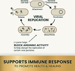VetriScience Lysine Plus Lysine Immunity Health Chicken Flavored Chews Immune Supplement for Cats, 90 count slide 2 of 8