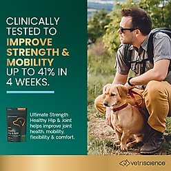 VetriScience GlycoFlex Plus Duck Flavored Soft Chews Joint Supplement for Small Dogs, 60 count slide 2 of 8