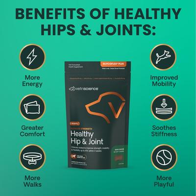 Show full view: VetriScience GlycoFlex Plus Duck Flavored Soft Chews Joint Supplement for Small Dogs, 60 count slide 6 of 11