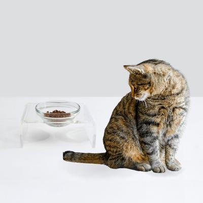 Show full view: Hiddin Clear Single Elevated Dog & Cat Feeder, 6.5-cup slide 7 of 9