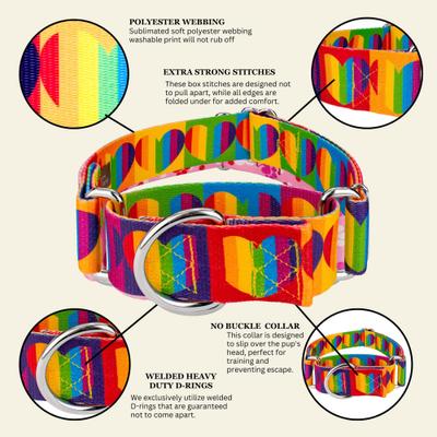Show full view: Country Brook Petz HossFit Jr Rainbow Hearts Wide Martingale Dog Collar, Medium: 15 to 21-in neck, 1.5-in wide slide 6 of 8
