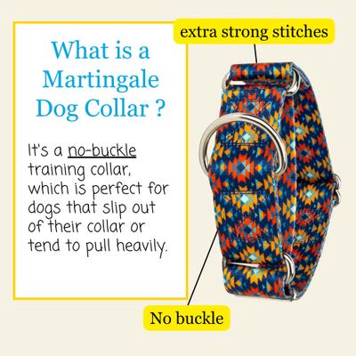 Show full view: Country Brook Petz HossFit Jr Utah Wide Martingale Dog Collar, Blue, Medium: 15 to 21-in neck, 1.5-in wide slide 3 of 8