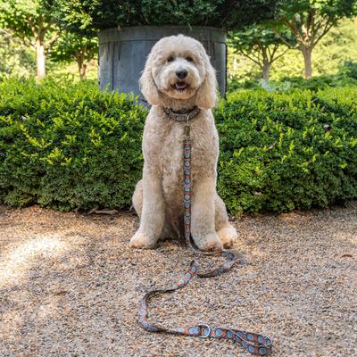 Show full view: Country Brook Petz HossFit Jr Saddle Up Wide Martingale Dog Collar, Large slide 3 of 9