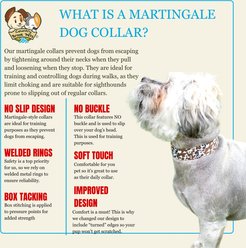 Country Brook Petz HossFit Jr Cow Print Wide Martingale Dog Collar, Brown, Medium: 15 to 21-in neck, 1.5-in wide slide 2 of 9