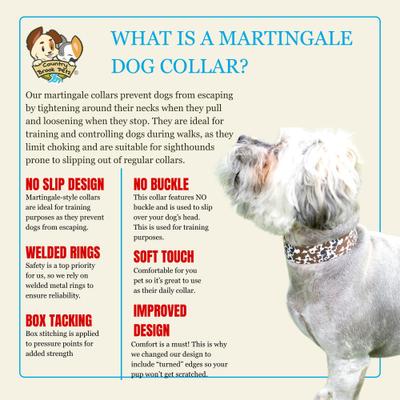 Show full view: Country Brook Petz HossFit Jr Cow Print Wide Martingale Dog Collar, Brown, X-Large: 23 to 31-in neck, 1.5-in wide slide 8 of 9