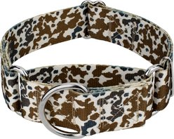 Country Brook Petz HossFit Jr Cow Print Wide Martingale Dog Collar, Brown, Medium: 15 to 21-in neck, 1.5-in wide