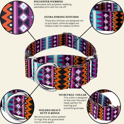 Country Brook Petz HossFit Jr Santa Fe Wide Martingale Dog Collar, Medium slide 2 of 8