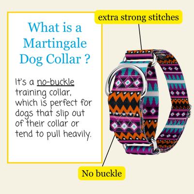Show full view: Country Brook Petz HossFit Jr Santa Fe Wide Martingale Dog Collar, Medium slide 3 of 8