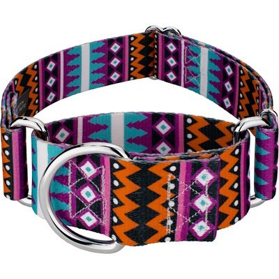 Country Brook Petz Country Brook Petz HossFit Jr Santa Fe Wide Martingale Dog Collar, Large