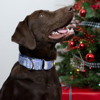 Show full view: Country Brook Petz HossFit Jr Snowman Wide Martingale Dog Collar, Purple, Large slide 5 of 10