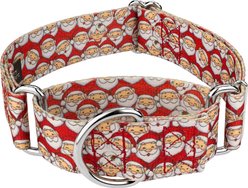 Country Brook Petz HossFit Jr Where's Merry Wide Martingale Dog Collar, Medium