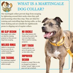 Country Brook Petz HossFit Jr Copper Mesa Wide Martingale Dog Collar, Medium slide 2 of 8