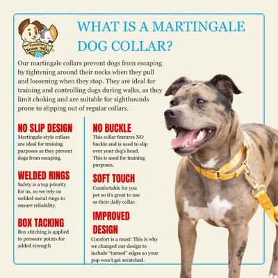 Show full view: Country Brook Petz HossFit Jr Copper Mesa Wide Martingale Dog Collar, X-Large slide 5 of 8