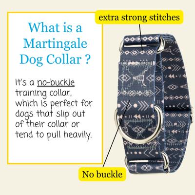 Show full view: Country Brook Petz HossFit Jr Copper Mesa Wide Martingale Dog Collar, X-Large slide 3 of 8