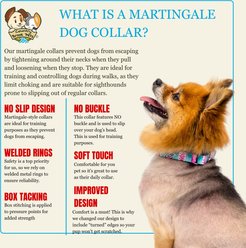Country Brook Petz HossFit Jr Serape Wide Martingale Dog Collar, Medium, Blue slide 2 of 8