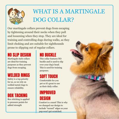 Show full view: Country Brook Petz HossFit Jr Serape Wide Martingale Dog Collar, Large, Blue slide 5 of 8