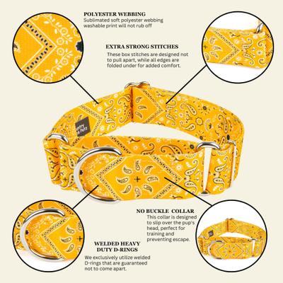 Show full view: Country Brook Petz HossFit Jr Bandana Wide Martingale Dog Collar, Yellow, Medium slide 10 of 10
