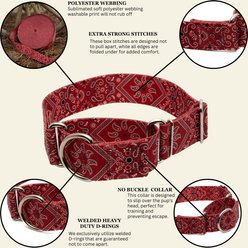 Country Brook Petz HossFit Jr Bandana Wide Martingale Dog Collar, Red, Medium slide 2 of 9