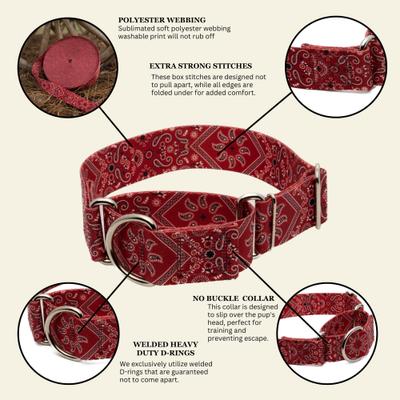 Show full view: Country Brook Petz HossFit Jr Bandana Wide Martingale Dog Collar, Red, Large slide 9 of 9