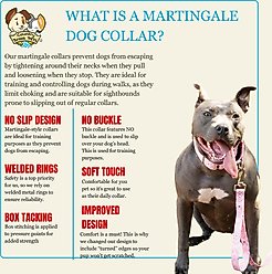 Country Brook Petz HossFit Jr Bandana Wide Martingale Dog Collar, Pink, Medium slide 2 of 9