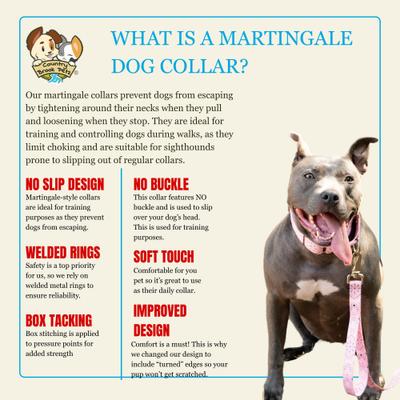 Show full view: Country Brook Petz HossFit Jr Bandana Wide Martingale Dog Collar, Pink, Medium slide 8 of 9