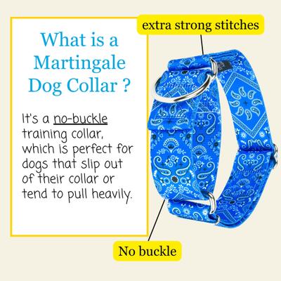 Show full view: Country Brook Petz HossFit Jr Bandana Wide Martingale Dog Collar, Blue, Medium slide 3 of 8