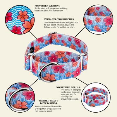 Show full view: Country Brook Petz HossFit Jr April Blossoms Wide Martingale Dog Collar, Blue, Medium slide 10 of 10