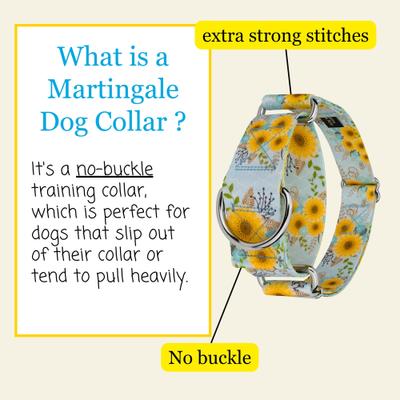 Show full view: Country Brook Petz HossFit Jr Sunny Days Wide Martingale Dog Collar, Blue, X-Large: 23 to 31-in neck, 1.5-in wide slide 3 of 8