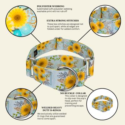 Show full view: Country Brook Petz HossFit Jr Sunny Days Wide Martingale Dog Collar, Blue, X-Large: 23 to 31-in neck, 1.5-in wide slide 6 of 8