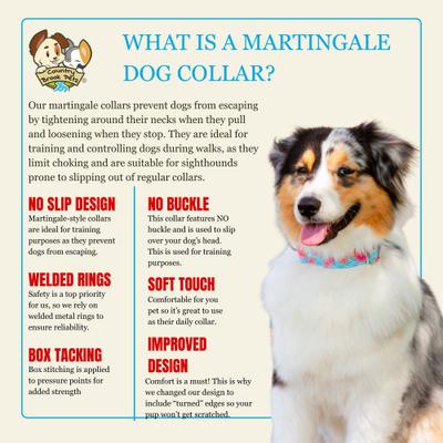 Show full view: Country Brook Petz HossFit Jr April Blossoms Wide Martingale Dog Collar, Blue, Medium slide 9 of 10