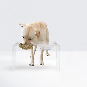 Hiddin Clear Glass Double Dog Bowl, Tall