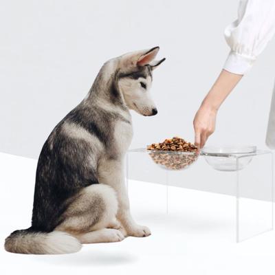 Show full view: Hiddin Clear Glass Double Dog Bowl, Tall slide 8 of 10