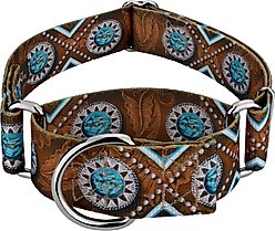 Country Brook Petz HossFit Jr Saddle Up Wide Martingale Dog Collar, Medium