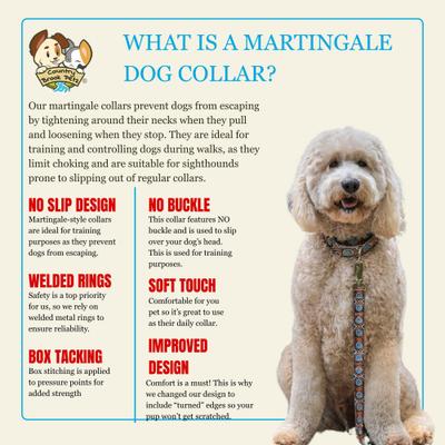 Show full view: Country Brook Petz HossFit Jr Santa Fe Wide Martingale Dog Collar, Medium slide 5 of 8