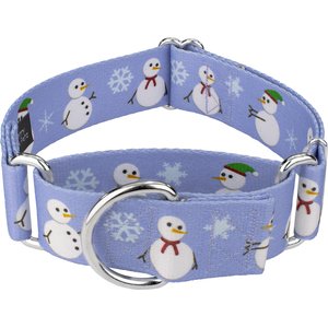 Country Brook Petz HossFit Jr Snowman Wide Martingale Dog Collar, Purple, Large