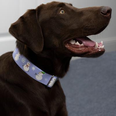 Show full view: Country Brook Petz HossFit Jr Snowman Wide Martingale Dog Collar, Purple, Large slide 4 of 10