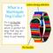 Show in main carousel: Country Brook Petz HossFit Jr Serape Wide Martingale Dog Collar, X-Large, Multi-Colored slide 5 of 9