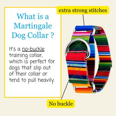 Show full view: Country Brook Petz HossFit Jr Serape Wide Martingale Dog Collar, X-Large, Multi-Colored slide 5 of 9